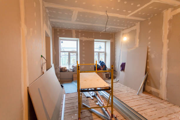 Best Attic Mold Removal  in Rochester Hills, MI
