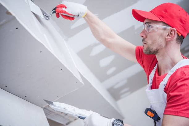 Best Mold Odor Removal Services  in Rochester Hills, MI